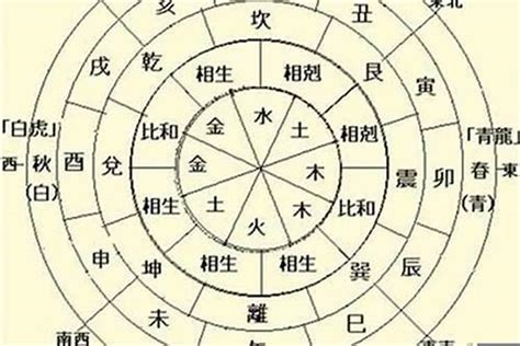 日主甲木|十天干命主白話解說